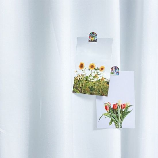 오늘의꽃 엽서 12종 세트