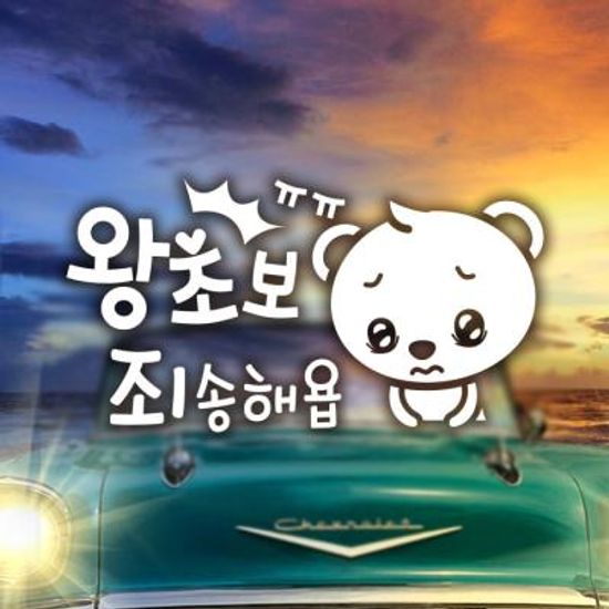 18D01 곰돌이의왕초보죄송해욥 반사