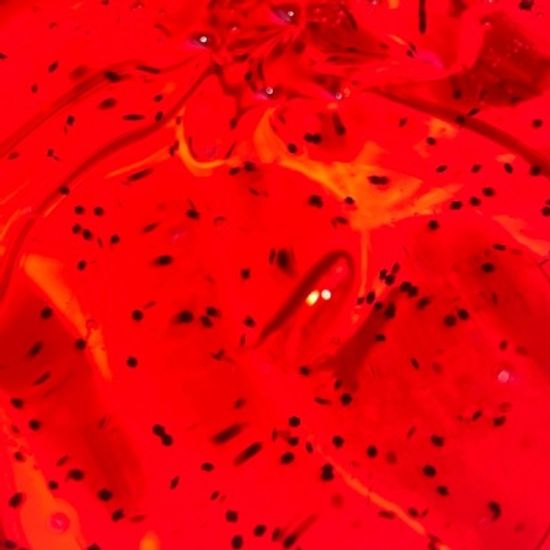 [젤리블리스] 딸기절임 200ml+스펀지 /수제슬라임