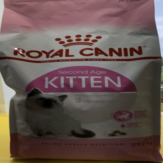 로얄캐닌 키튼 캣 고양이 반려묘 사료 2kg(WA6B07D)