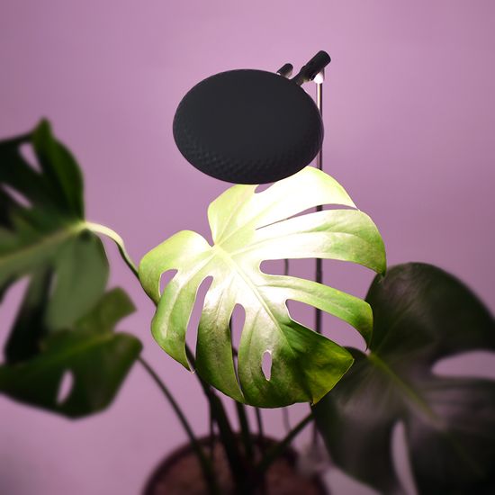 노바리빙 LED 식물등 다육이