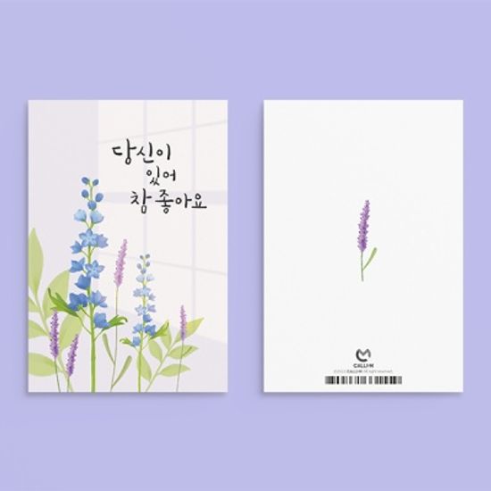 캘리그라피 감사카드 JW2201 당신이 있어 참 좋아요
