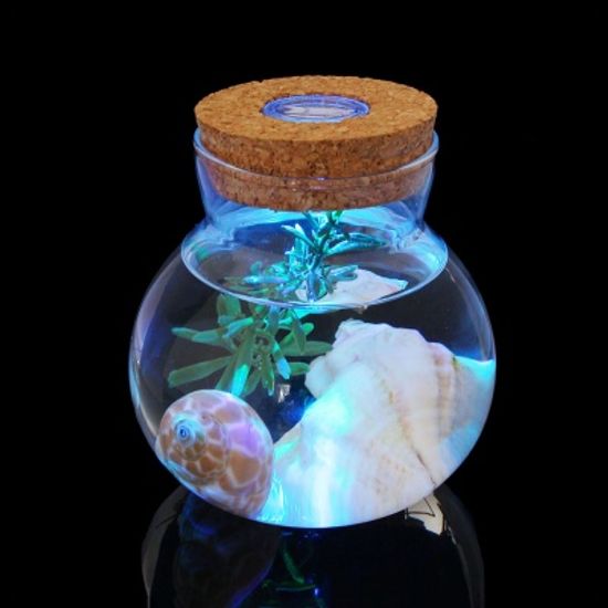마리모 키우기 LED 유리병 수경 반려식물 유리공병