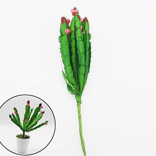 다육이 조화 선인장 다육이  WEDC112