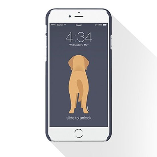 PLUSBOX HULA PET (Golden Retriever) / 케이스