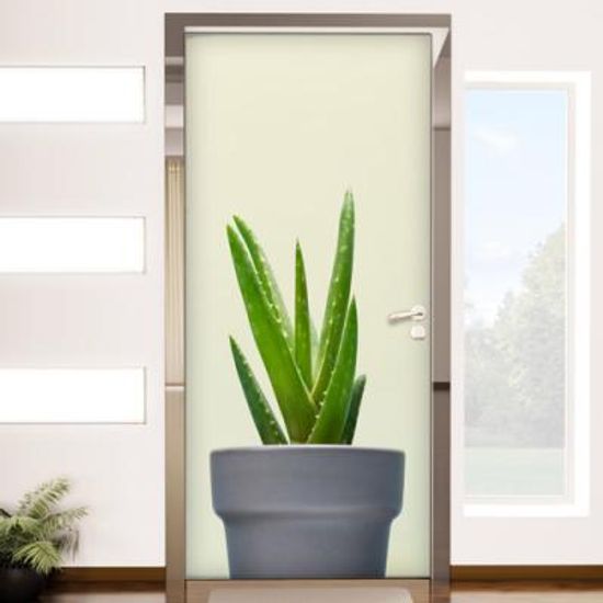 ii711-그린알로에_현관문시트지