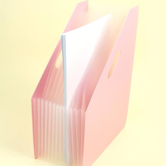 핑크풋 아코디언인덱스화일