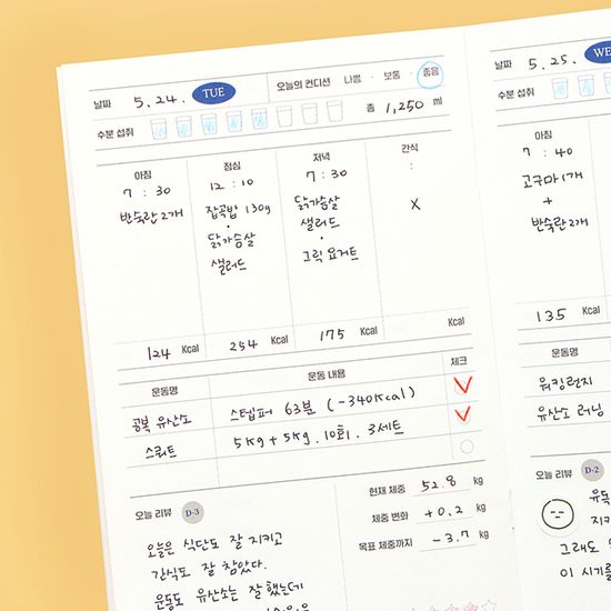 월간다이어트 플래너(1개월,데일리)