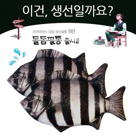 ★무료배송 [피쉬앤팬시] 생선필통 돌돔필통
