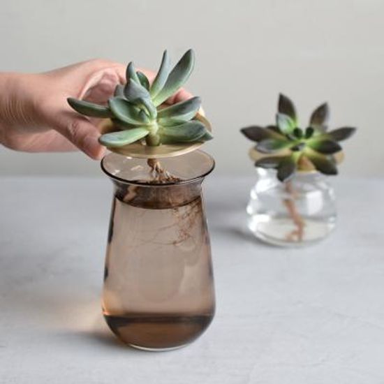 킨토 루나 화병 80x130mm (브라운)