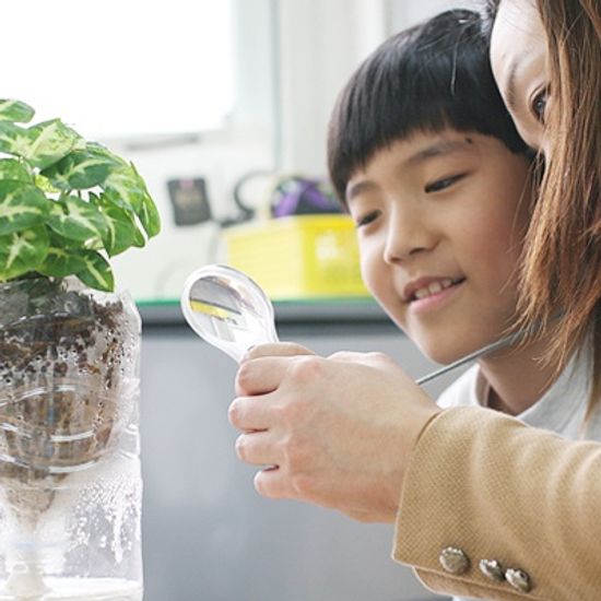[KC인증] 아이루페 미니돋보기(3배율)