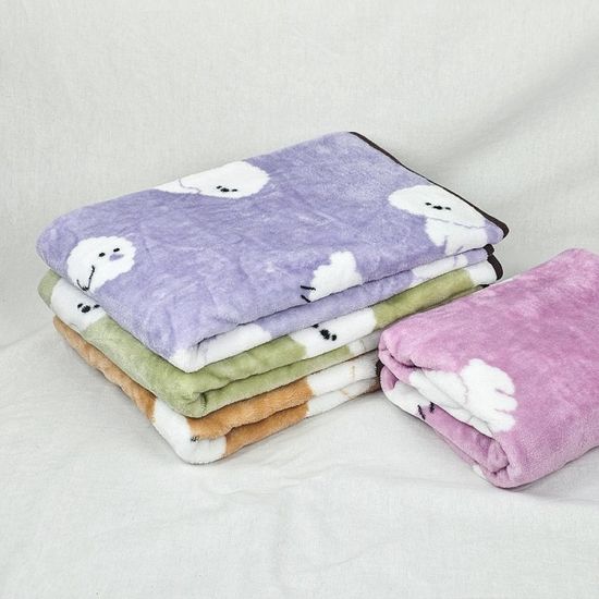 13000 숑숑비숑극세사담요(IL)-베이지라벤더