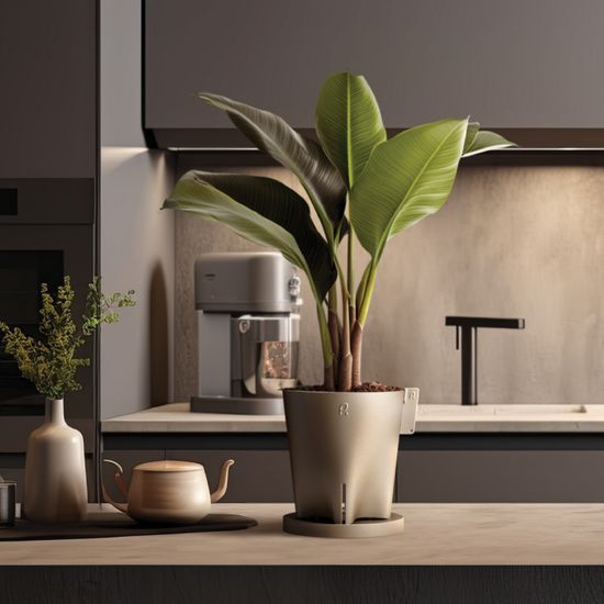 에어프루닝 슬릿화분 다육이 플라스틱 화분 슬릿분