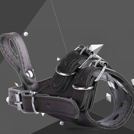 예홈펫 강아지 대형견 소형견 짖음방지 목줄 입마개