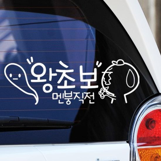 왕초보 멘붕직전 - 초보운전스티커(243)