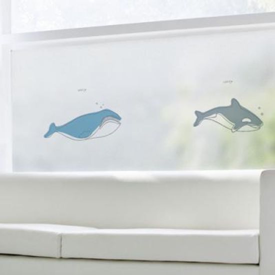 gb434-해피돌핀_글라스시트지