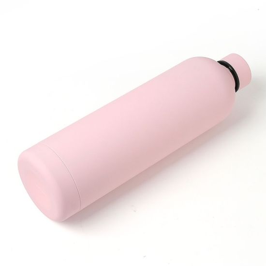 비비드 이중스텐 진공 보온병(750ml) 캠핑 진공보냉병