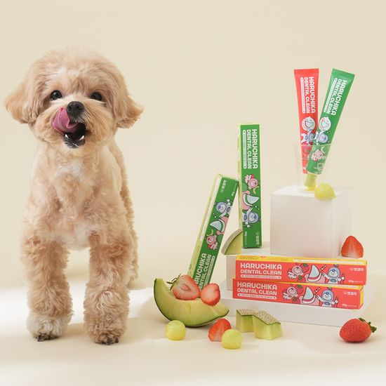 펫생각 덴탈클린 바르는 치석제거 강아지치약 딸기향