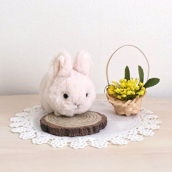 베이비애니멀 미니 아기동물 친칠라 토끼 비버 인형