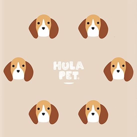 HULA PET PATTERN CASE (Beagle) / 아이폰 케이스