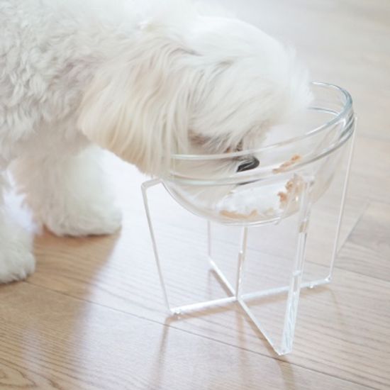 강아지용품 강아지식기 고양이밥그릇