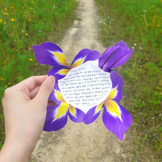 붓꽃(Iris flower) 편지지