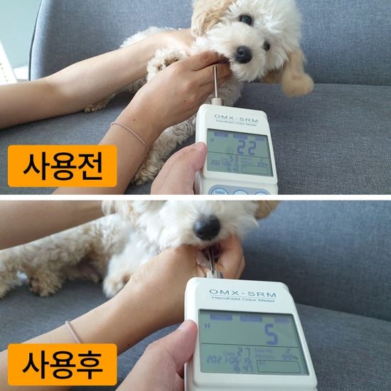 벨로펫 강아지 고양이 구강케어 프레쉬 댕글 냥글