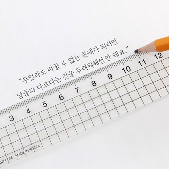 [주문제작]네임 투명자 15cm리틀포레스트