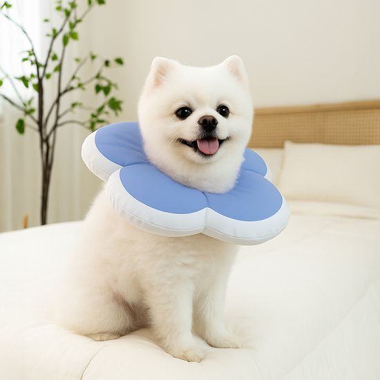 레토 강아지 고양이 넥카라 플라워 방수 LNC-F02