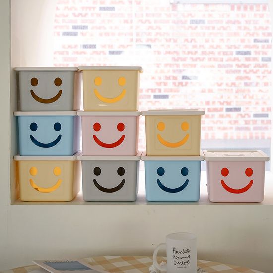 보노하우스 모던 미니 해피박스 2P 수납 정리함