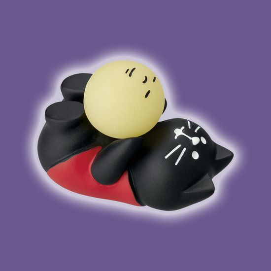 concombre 만월킥 고양이