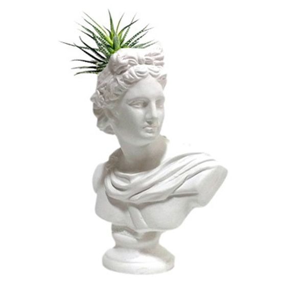 석고상화분 10종 아폴로 20cm내외 틸란드시아 선인장