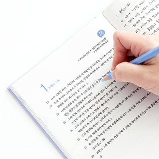 그레이스벨 나날 성경필사 바울의편지 (갈,에,빌,골)