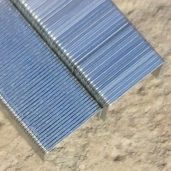 래피드 50매용 Super Strong 24/8+ 심/침 5000pcs 1통