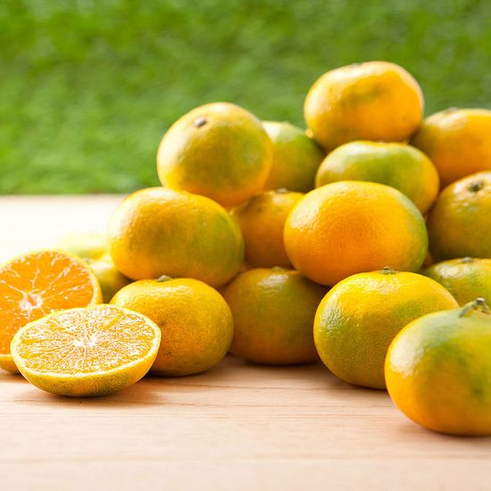 [고랑몰라] 노지 새코미 감귤 5kg (소과)2S