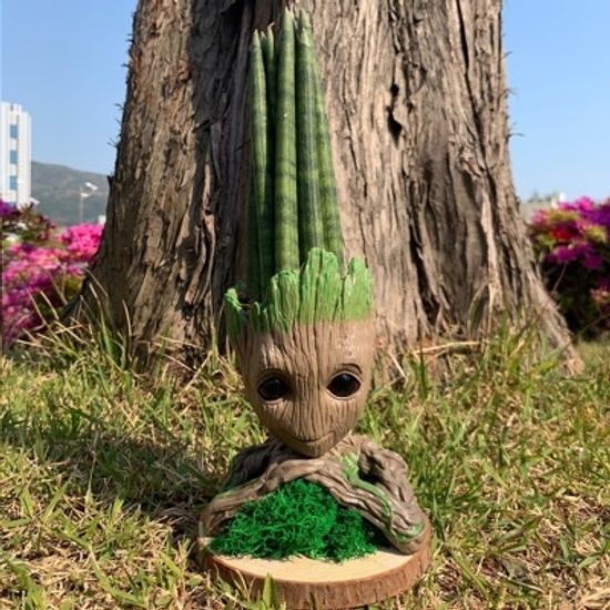 그루트 스투키 화분 SET