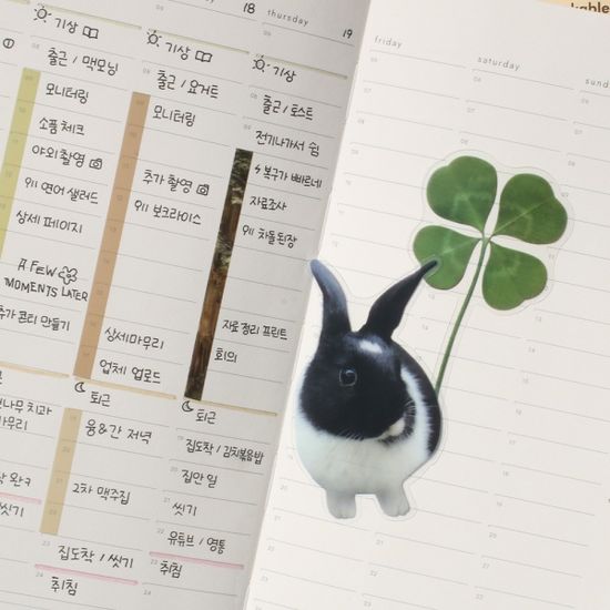 비온뒤 투명 책갈피 세트