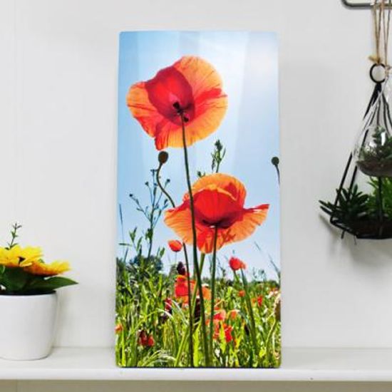 tj063-폼아크릴액자18CmX38Cm_금전운의양귀비꽃
