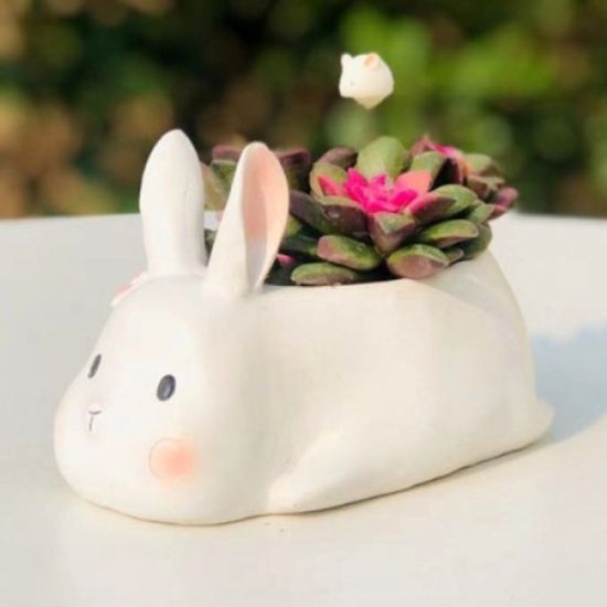 ROOGO 루고 다육이 화분 행복한 동물일기 토끼