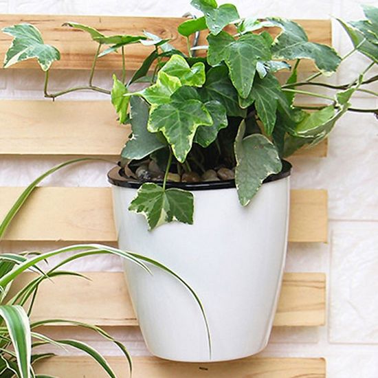 실내정원 자동급수 벽걸이 화분 5p세트 저면관수 원형