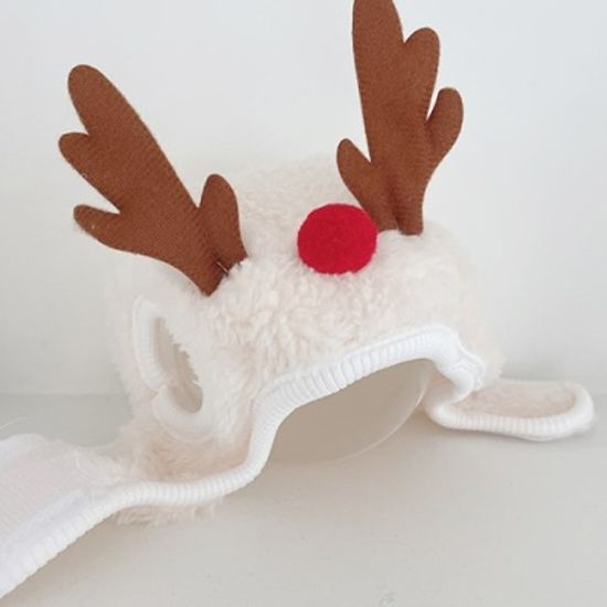 Winter Mood Pet Hat 윈터무드펫모자