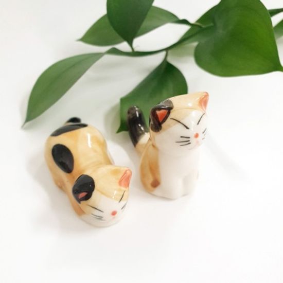 점박이 고양이와 벤치 세트