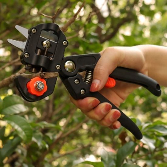 원예 나무 접목가위 세트 과수 접붙이기 전정가위