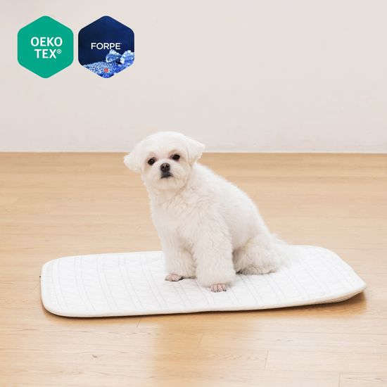 알래스카 아이스 포르페 국산 애견 냉감 방석