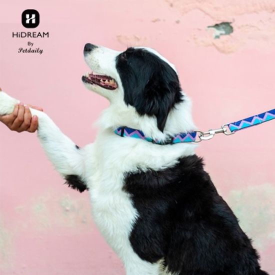 펫데일리 하이드림 레인보우 강아지 리드줄-S size