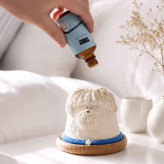 쁘띠파피에 오브제 디퓨저 (크림) 선물세트