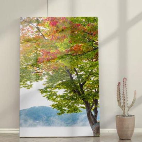 ta935-폼아크릴액자38CmX58Cm세로형_북한강과나무