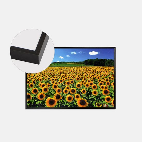 1000피스퍼즐 해바라기들판 알루미늄블랙 액자세트