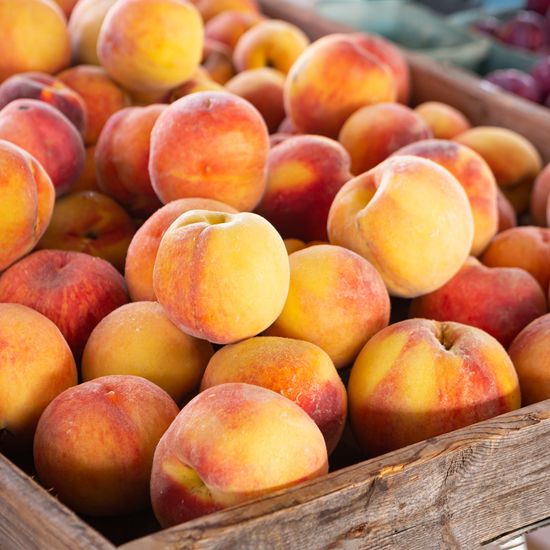 [자연예서] 황도 복숭아 2.5kg (12과) (특특)