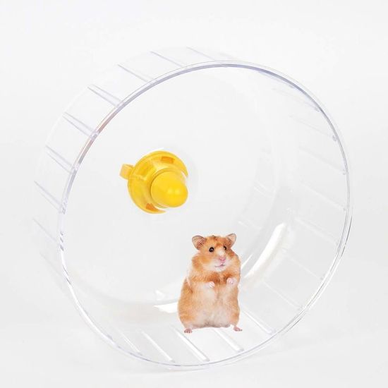 쳇바퀴 소동물운동용품 햄스터 투명(WFG39CQ)